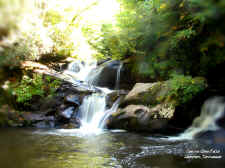 dennis_cove_falls_1024x768_dt.jpg (204275 bytes)