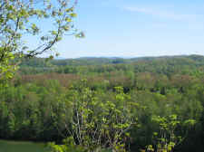 hiking 003.jpg (306284 bytes)
