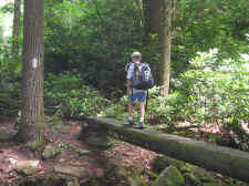 hiking 022.jpg (455711 bytes)