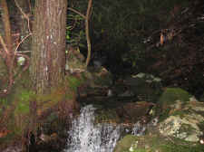 hiking 002.jpg (390991 bytes)